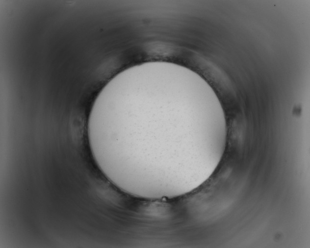 X0000103960463200809261815