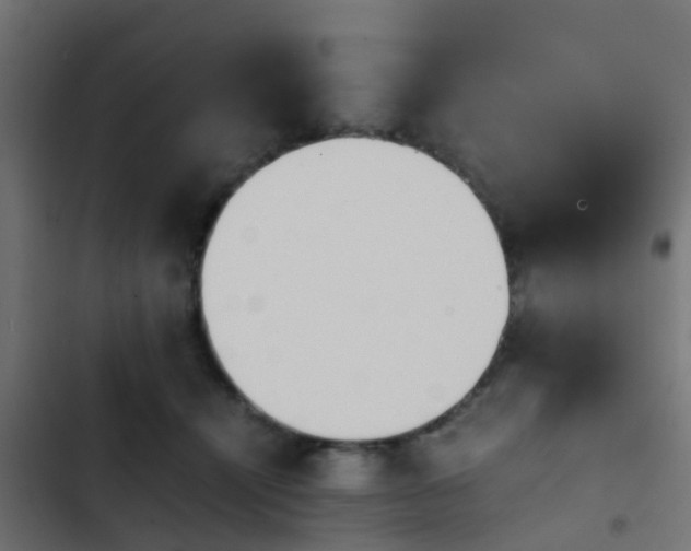 X0000103960464200809261815