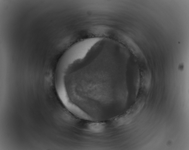 X0000103960465200809261815