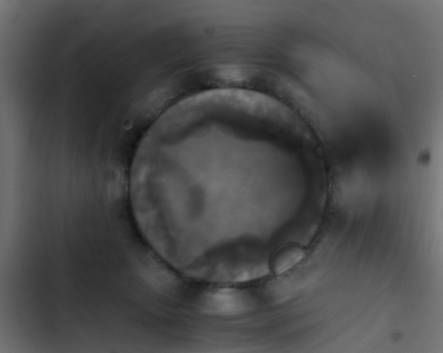 X0000103960467200809261815