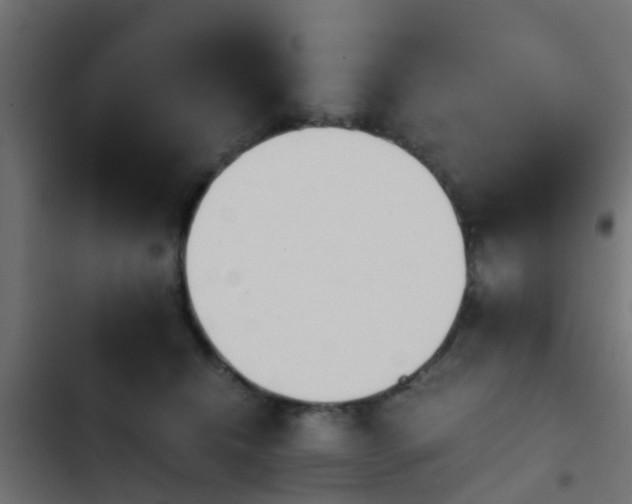 X0000103960468200809261815