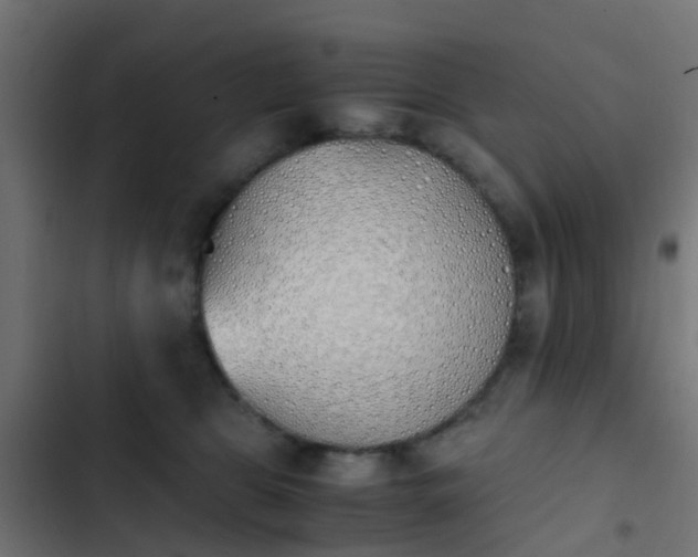 X0000103960469200809261815