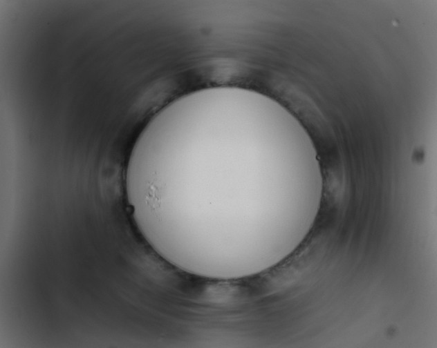 X0000103960470200809261815