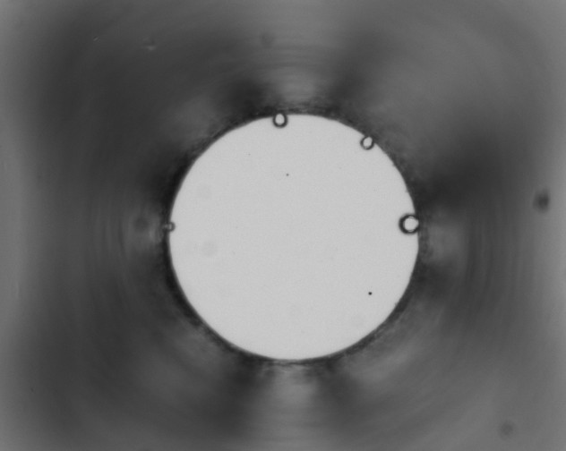 X0000103960472200809261815