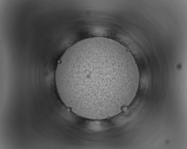 X0000103960473200809261815