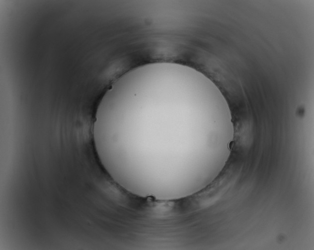 X0000103960474200809261815