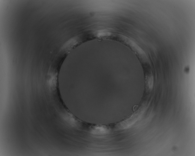 X0000103960475200809261815