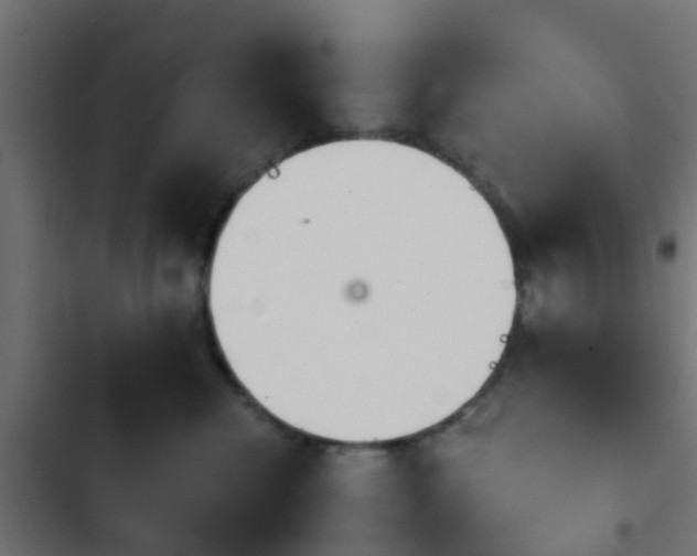 X0000103960476200809261815