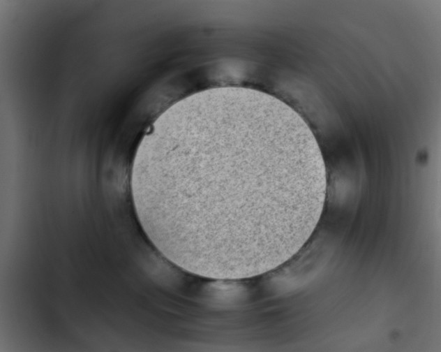 X0000103960477200809261815