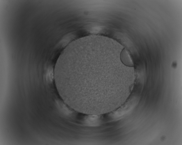 X0000103960479200809261815