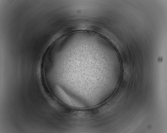 X0000103960482200809261815