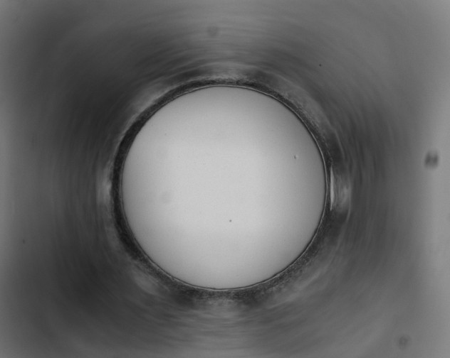 X0000103960483200809261815