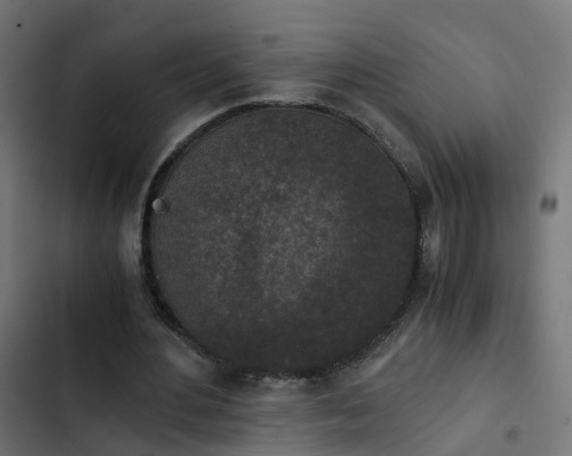 X0000103960484200809261815