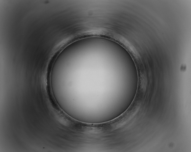 X0000103960486200809261815