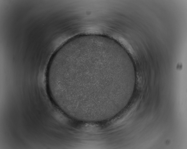 X0000103960487200809261815