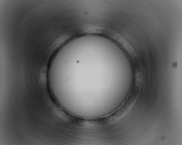 X0000103960490200809261815