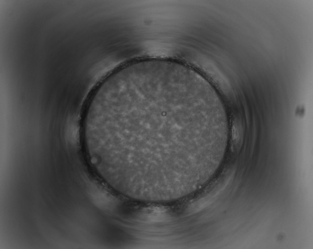 X0000103960492200809261815