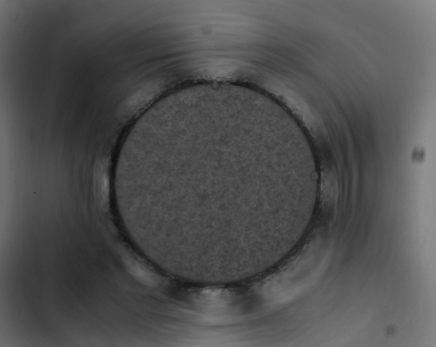X0000103960493200809261815