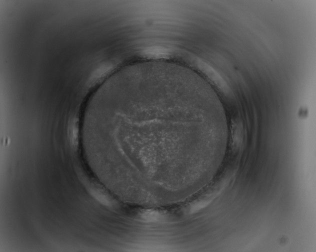 X0000103960494200809261815