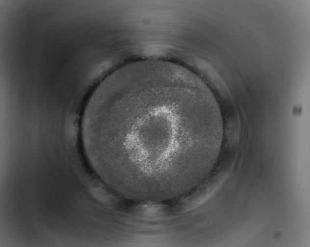 X0000103960495200809261815