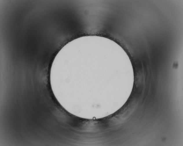 X0000103960497200809261815