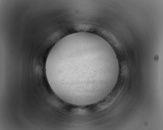 X0000103960498200809261815