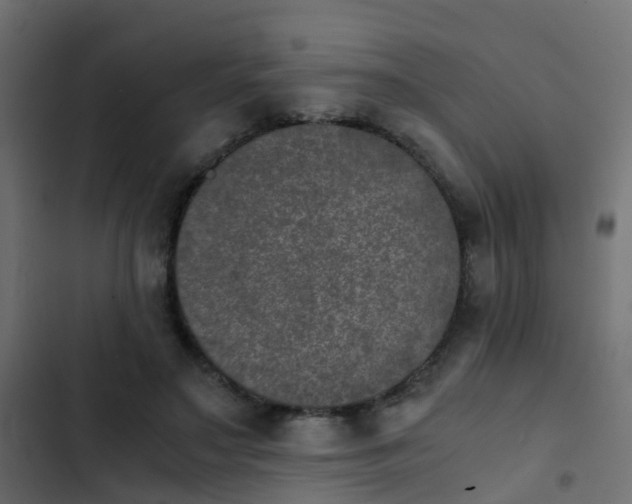 X0000103960499200809261815