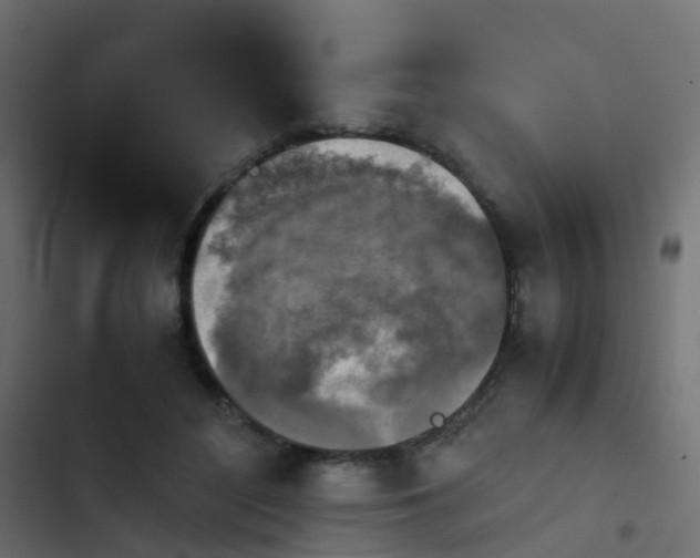 X0000103960500200809261815