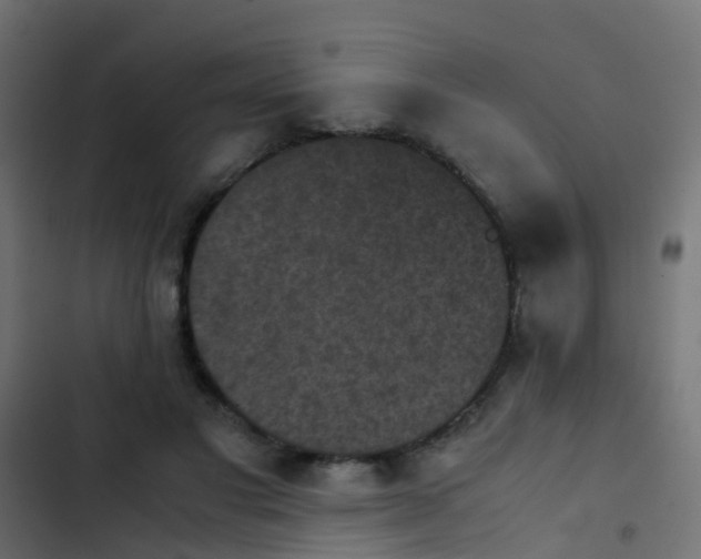X0000103960501200809261815