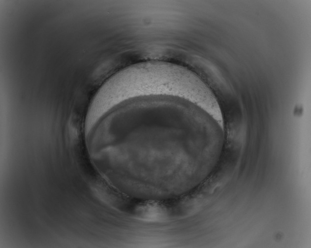 X0000103960503200809261815