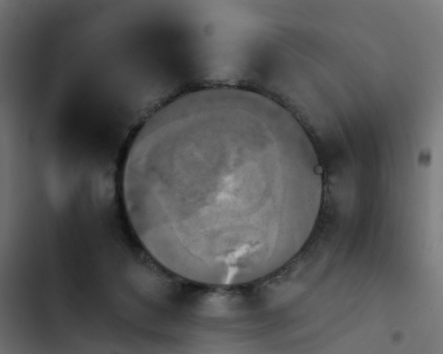 X0000103960504200809261815