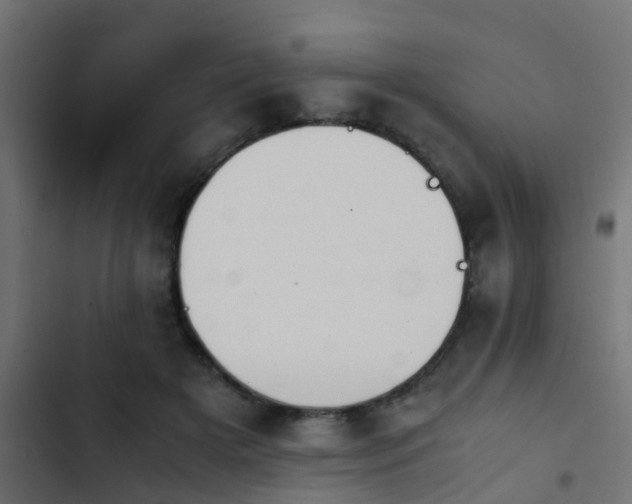 X0000103960505200809261815