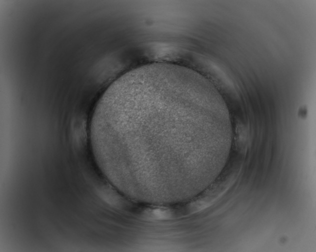 X0000103960506200809261814
