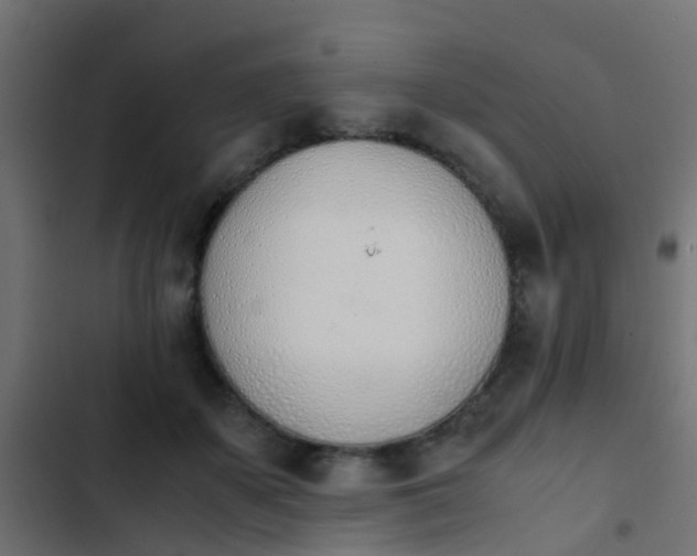 X0000103960507200809261814