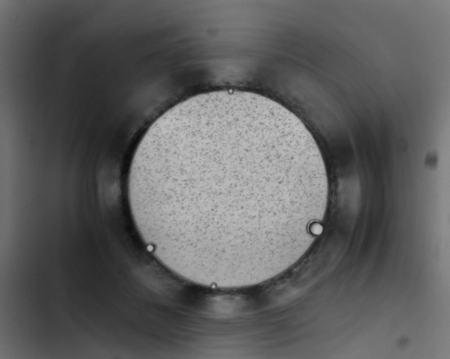 X0000103960508200809261814