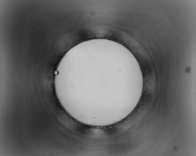 X0000103960509200809261814