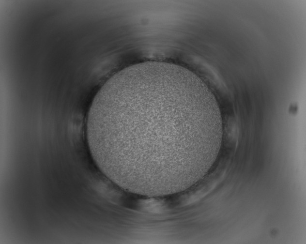 X0000103960511200809261814