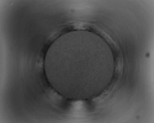 X0000103960513200809261814