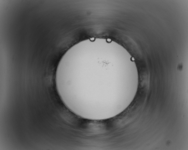 X0000103960515200809261814