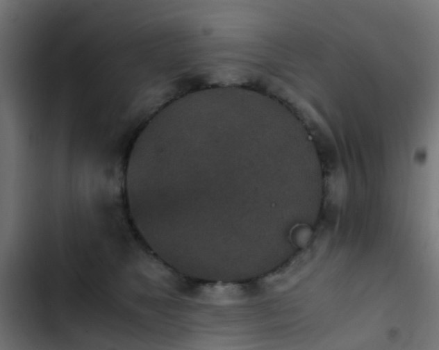 X0000103960517200809261814