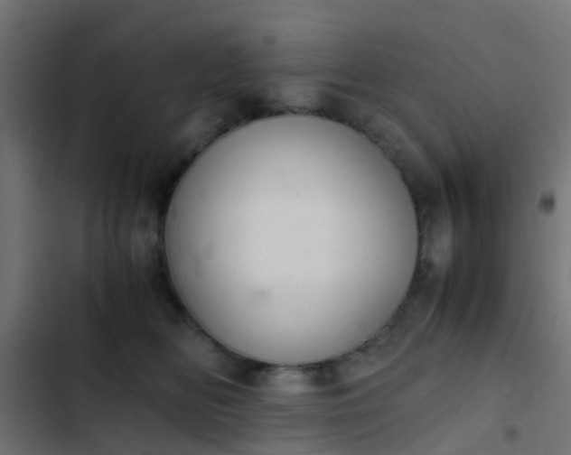X0000103960518200809261814
