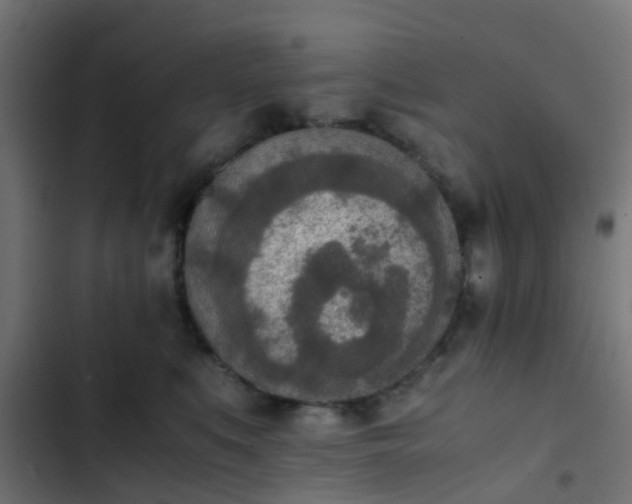 X0000103960519200809261814