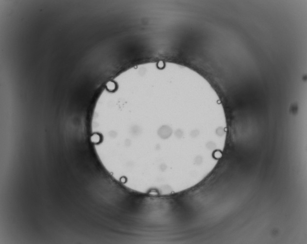 X0000103960520200809261814