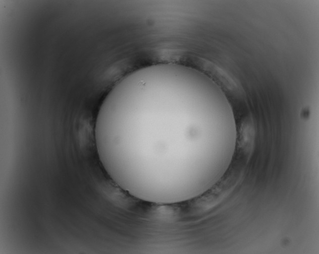 X0000103960522200809261814