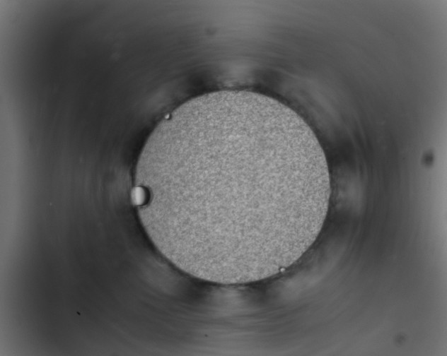 X0000103960523200809261814