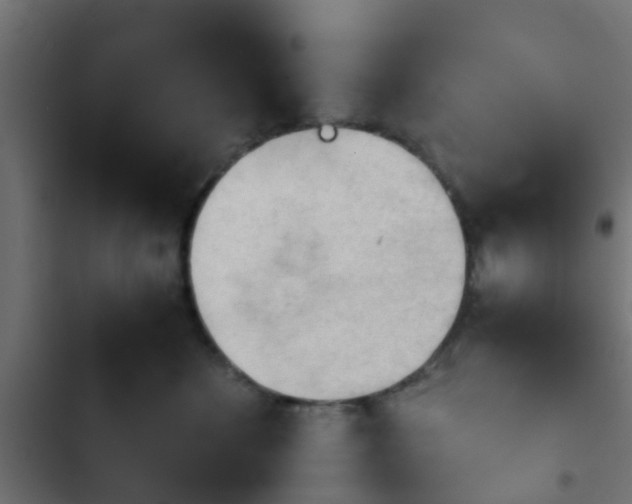X0000103960524200809261814