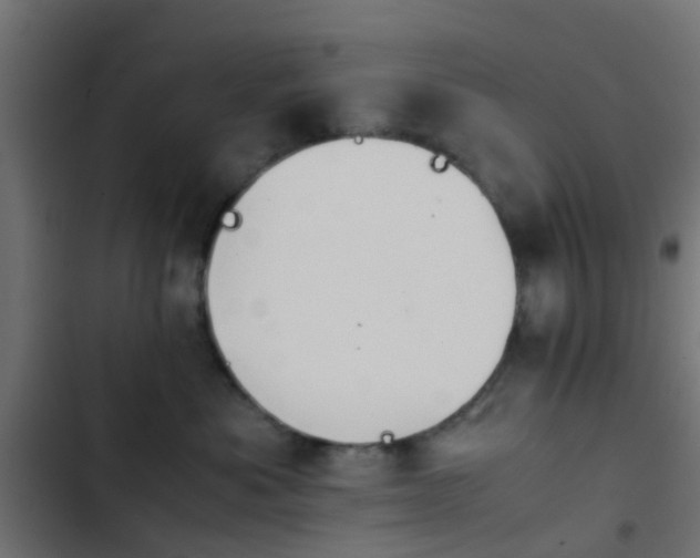 X0000103960525200809261814