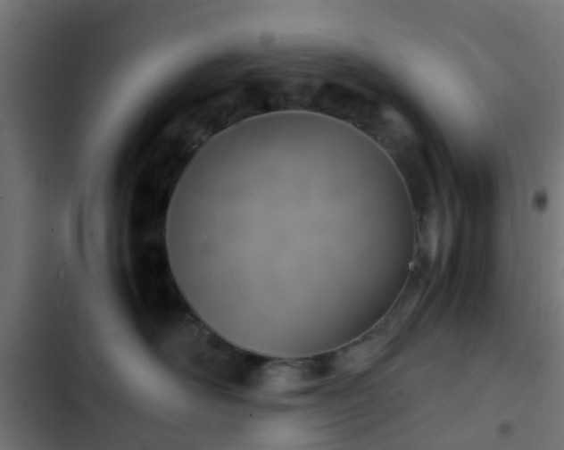 X0000103960526200809261814