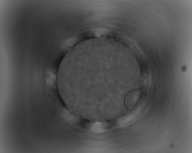 X0000103960527200809261814
