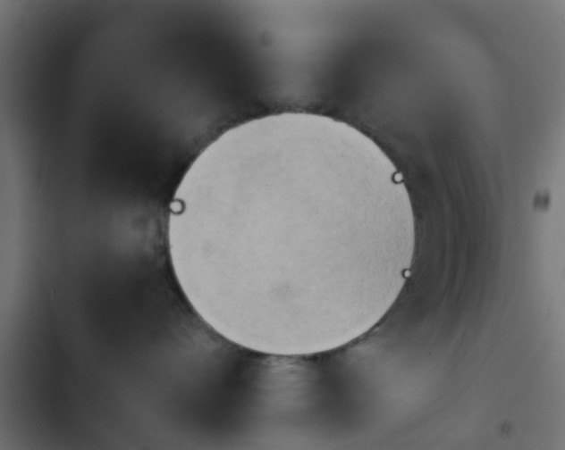 X0000103960528200809261814